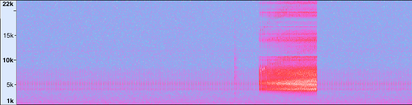spectrogram of budgie