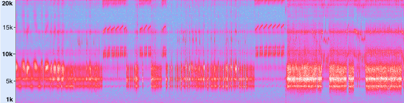 spectrogram of donguri
