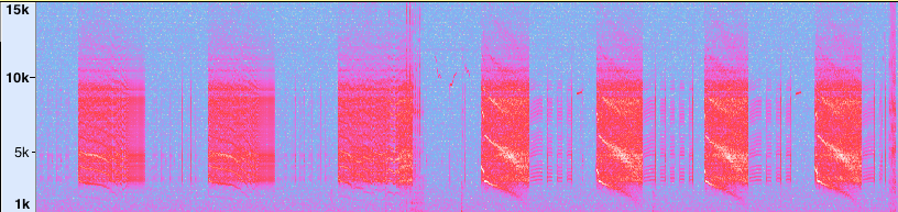 spectrogram of erma