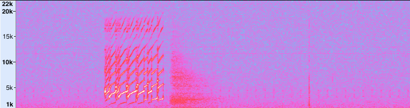 spectrogram of folha