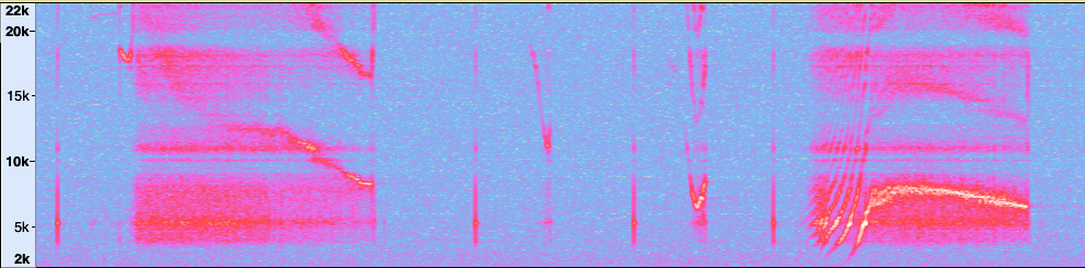 spectrogram of yoisho