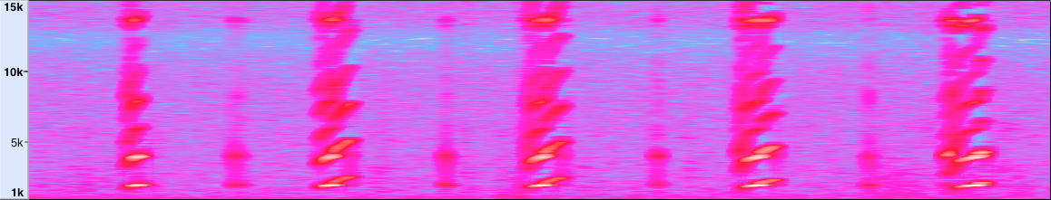 spectrogram of lewis