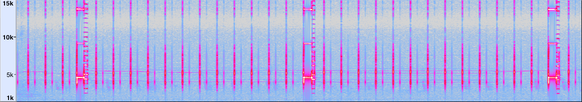 spectrogram of orchid_0