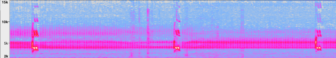 spectrogram of orchid_obi