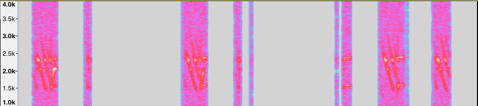spectrogram of rosemont_venus